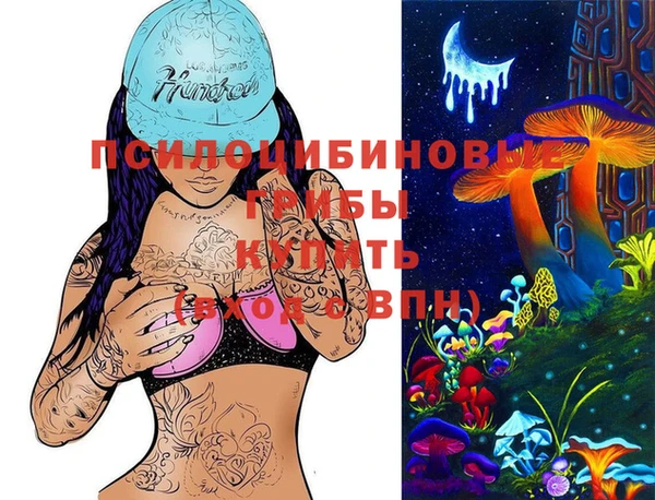 МДПВ Абаза