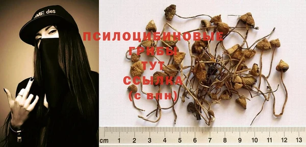 дурь Алексеевка