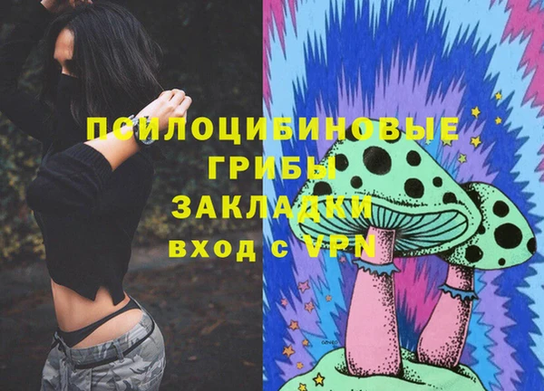 МДПВ Абаза