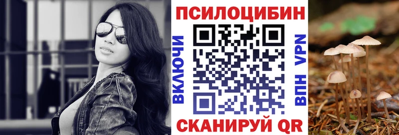 закладки Опочка Галлюциногенные грибы MAGIC MUSHROOMS