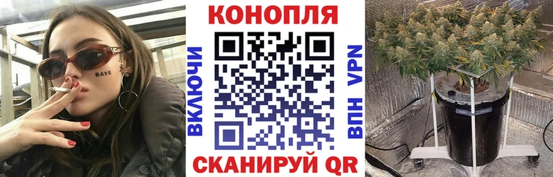 как найти наркотики  МЕГА как войти  Марихуана Ganja  Опочка 